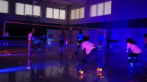 glow in the dark volleyball photo