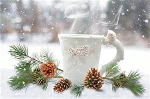 White ceramic mug in snow with pinecones